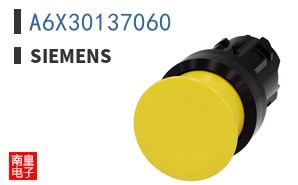 A6X30137060