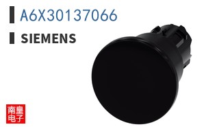 A6X30137066