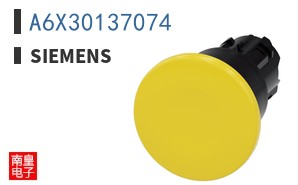 A6X30137074