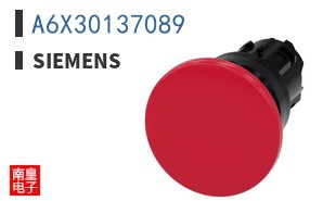 A6X30137089