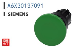 A6X30137091