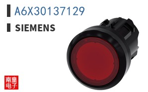 A6X30137129