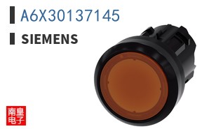 A6X30137145