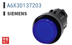 A6X30137203