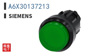A6X30137213