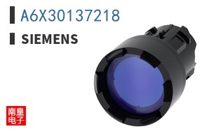 A6X30137218