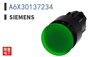 A6X30137234