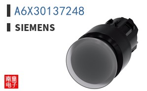 A6X30137248