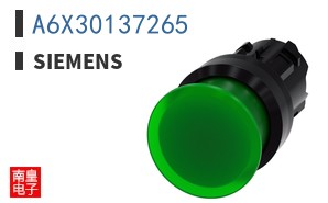 A6X30137265