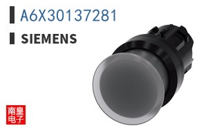 A6X30137281
