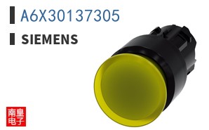 A6X30137305