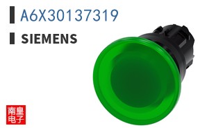 A6X30137319