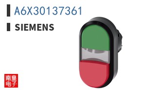 A6X30137361