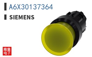 A6X30137364