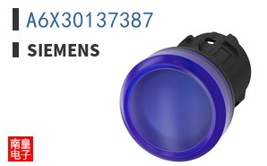 A6X30137387