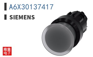 A6X30137417