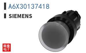 A6X30137418