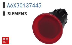 A6X30137445
