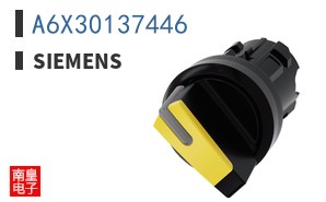 A6X30137446