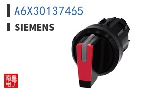 A6X30137465