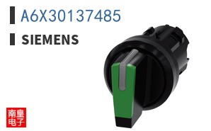 A6X30137485