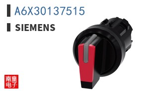 A6X30137515