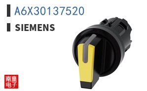 A6X30137520