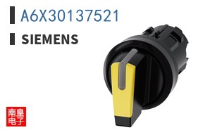 A6X30137521