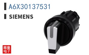 A6X30137531