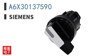 A6X30137590