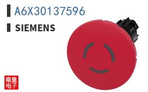A6X30137596