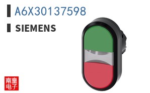 A6X30137598