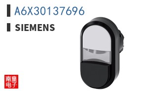A6X30137696