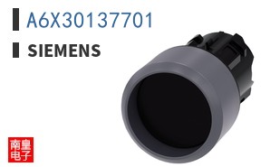 A6X30137701