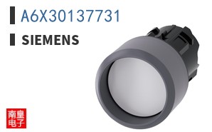 A6X30137731