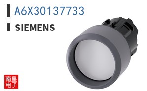A6X30137733