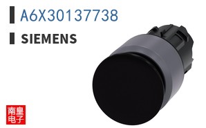 A6X30137738