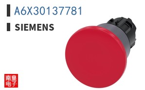 A6X30137781