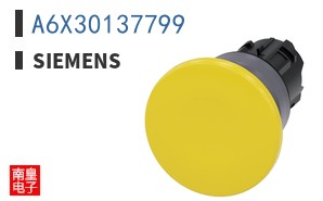 A6X30137799