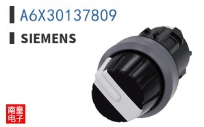 A6X30137809