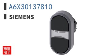 A6X30137810