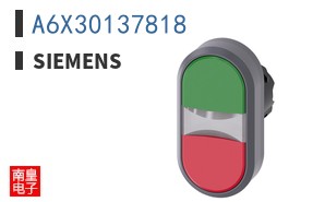 A6X30137818