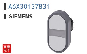 A6X30137831