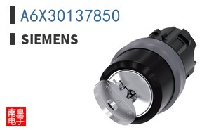 A6X30137850