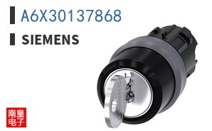 A6X30137868