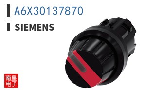 A6X30137870