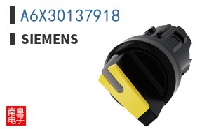 A6X30137918