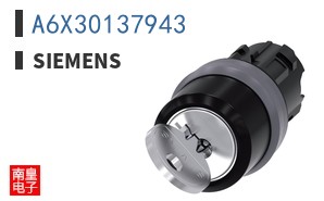 A6X30137943