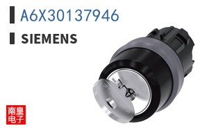 A6X30137946