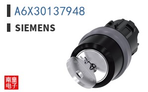 A6X30137948